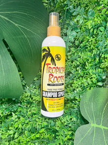  BB Tropical Roots Shampoo Spray 8oz