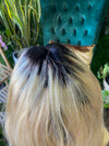 Blonde black roots